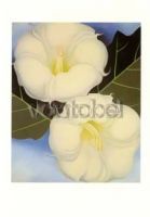 Zwei Winden, grüne Blätter und blauer Himmel. Two Jimson Weeds with Green Leaves and Blue Sky. Deux liserons, feuilles vertes et ciel bleu, 1938 