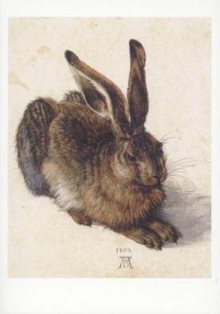 Feldhase, 1502. Field Hare. Lievre. 