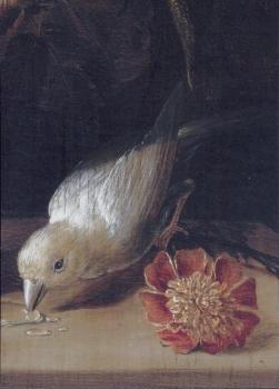 Blumenstrauß mit Tieren (Detail), 1704 