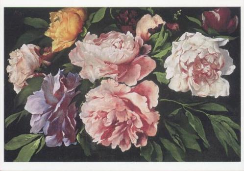 Päonien. Peonies. Pivoines, 1871 