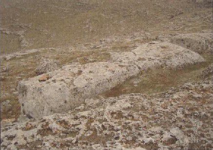 Monolith, Göbekli Tepe, Urfa 2008 