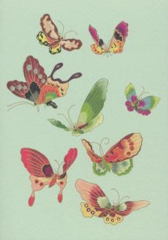 Schmetterlinge. Butterflies. Papillons. 