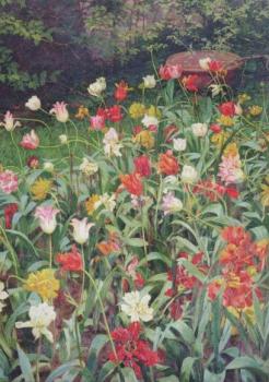 Tulpen. Tulips. Tulipes, 1914 