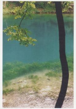 Blautopf, Baum, 2001 