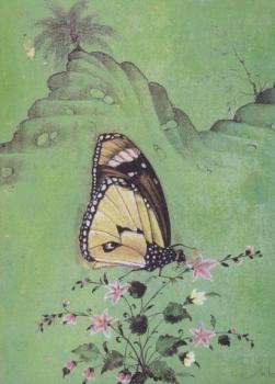 Schmetterling auf einer Blume. Butterfly on a Flower. 
