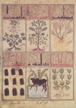 Kitab al-Diryaq Lehrbuch des Theriak. Handbook of Theriak. Traité de la Theriaque, 1198 