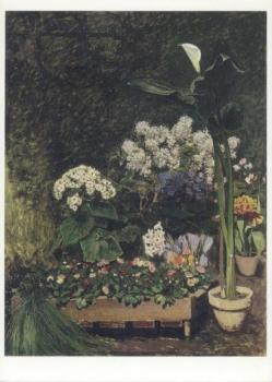Blumen im Gewächshaus. Flowers in the Conservatory. Plantes dans la serre, 1864 