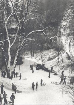 Schlittenfahren, Überlingen 1960er Jahre 