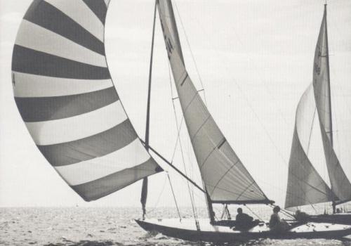 Regatta auf dem Bodensee, 1961 