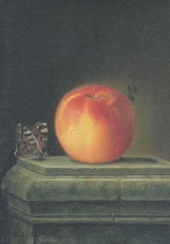 Stilleben mit Apfel und Insekten, 1765 