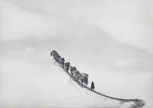 Aufbruch ins Ungewisse. Zentral-Asien-Expedition, 1927/1928 