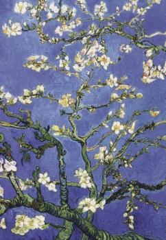 Blühende Mandelbaumzweige (Mandelblüte), Amandier en fleur, Almond-tree in Blossom (Almond Blossom), 1890 