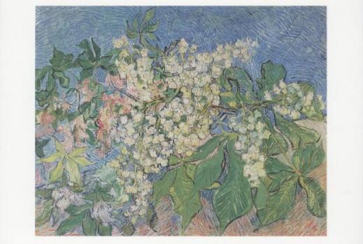 Blühender Kastanienzweig. Blooming chestnut branches. Branches marronniers en fleurs, 1890 