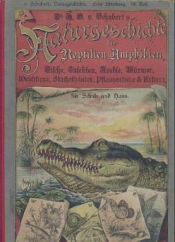 Naturgeschichte der Reptilien, Amphibien, Fische, Insekten, Krebse, Würmer, Weichtiere, Stachelhäuter, Pflanzentiere und Urtiere. Zum Anschauungsunterricht in Schulen und Familien. 10. Aufl. 