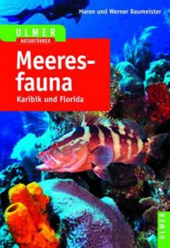 Meeresfauna. Karibik und Florida. Ulmer Naturführer. 