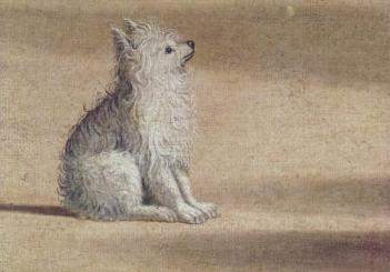 Das Hündchen, ca. 1502 