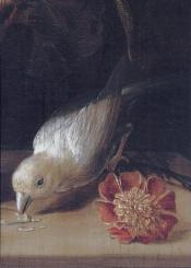 Blumenstrauß mit Tieren (Detail), 1704 