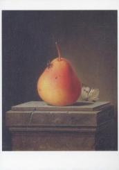 Stillleben mit Birne und Insekten. Still-life with pear and insects. Nature morte à la poire et aux insectes, 1765 