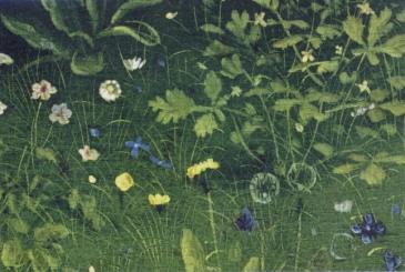 Blumenwiese, 1432 