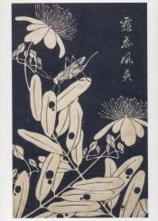 Johanniskraut mit Heuschrecke (Genpo Yoka), 1768 