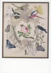 Biene und Rose, um 1850 