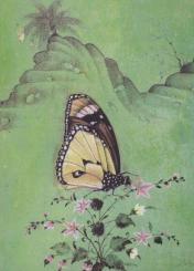 Schmetterling auf einer Blume. Butterfly on a Flower. 